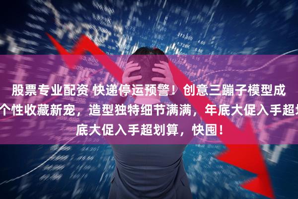 股票专业配资 快递停运预警！创意三蹦子模型成游戏爱好者个性收藏新宠，造型独特细节满满，年底大促入手超划算，快囤！