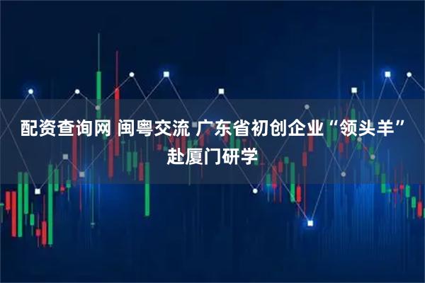 配资查询网 闽粤交流 广东省初创企业“领头羊”赴厦门研学