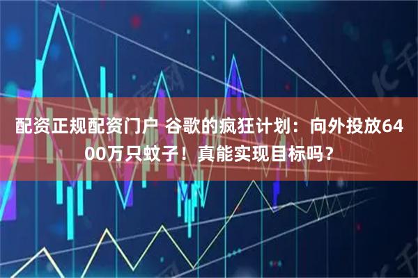 配资正规配资门户 谷歌的疯狂计划：向外投放6400万只蚊子！真能实现目标吗？